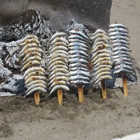 Appartement In Center